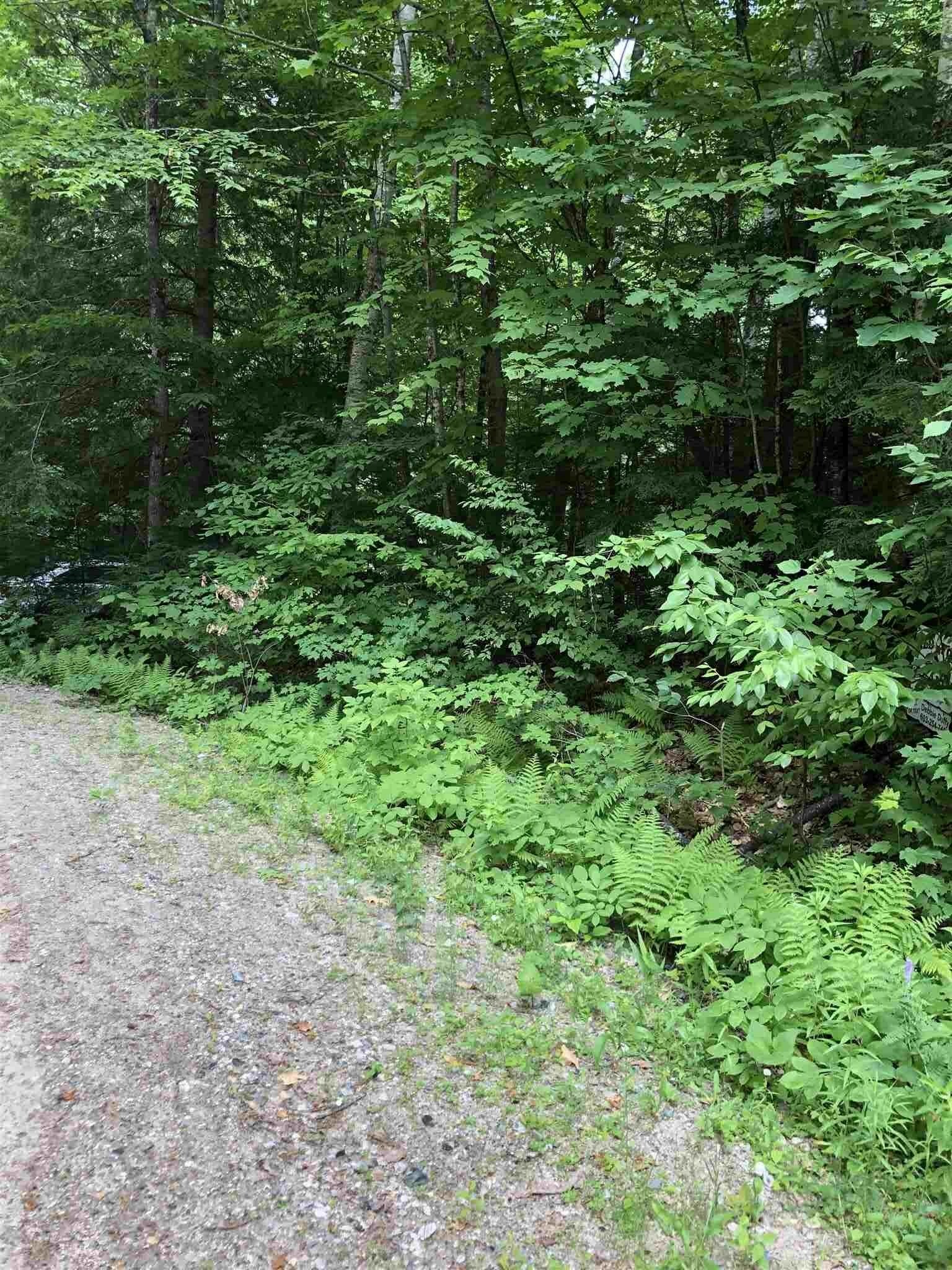 Property Photo:  Lot 3 Whitehouse Circle 3  NH 03223 