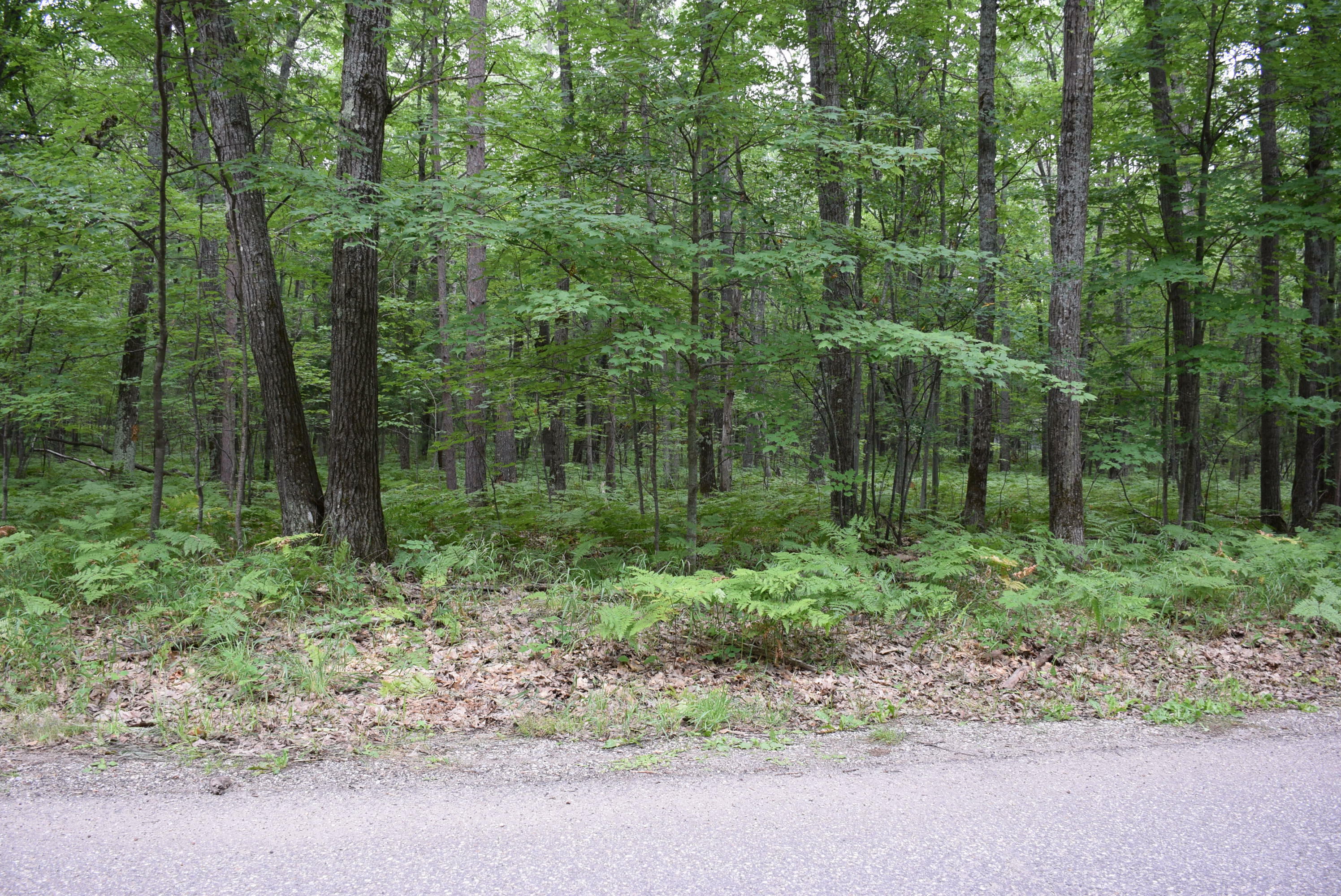 Property Photo:  W Numbers Road  MI 49749 