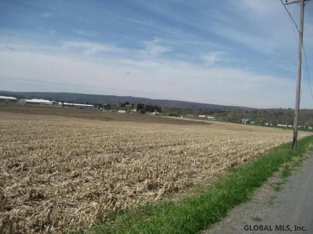 0 Chestnut Ridge Road  Moravia NY 13118 photo