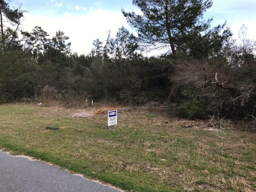 Property Photo:  Lot 17 SW 161st Loop  FL 34473 