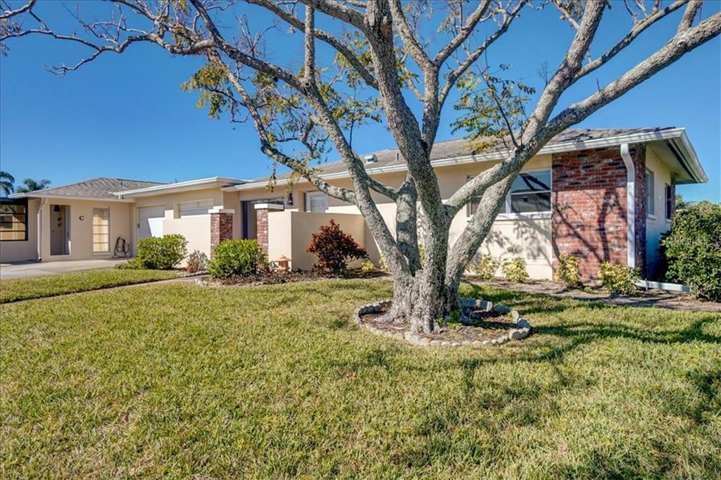 Property Photo:  2748 Highlands Boulevard B  FL 34684 