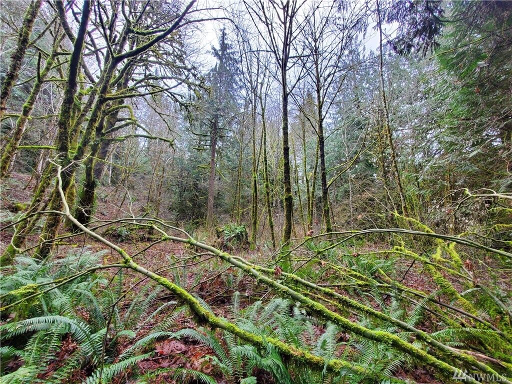 Property Photo:  17007 Highway 3  WA 98524 