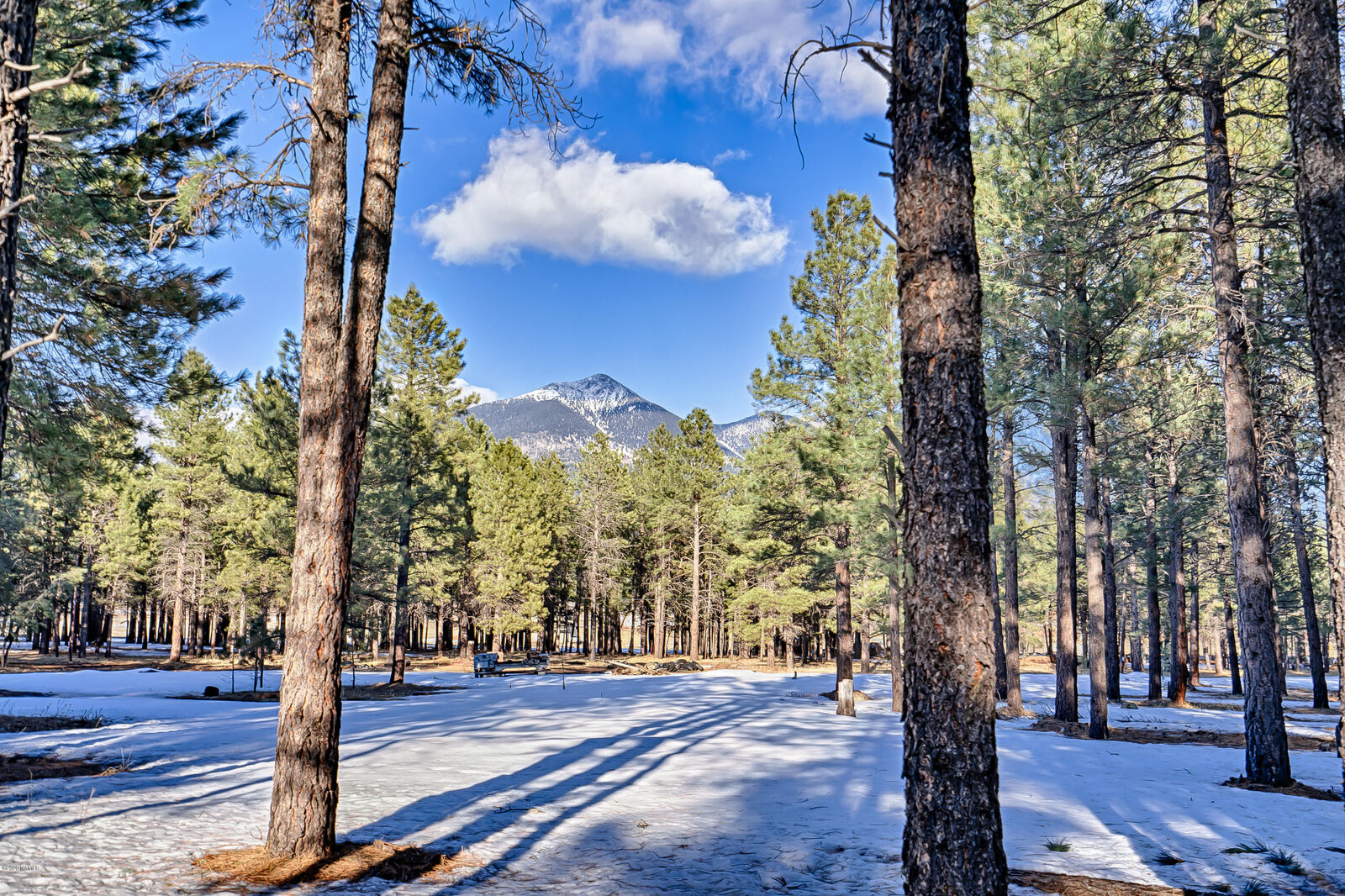 Property Photo:  8400 N Roundtree Road  AZ 86001 