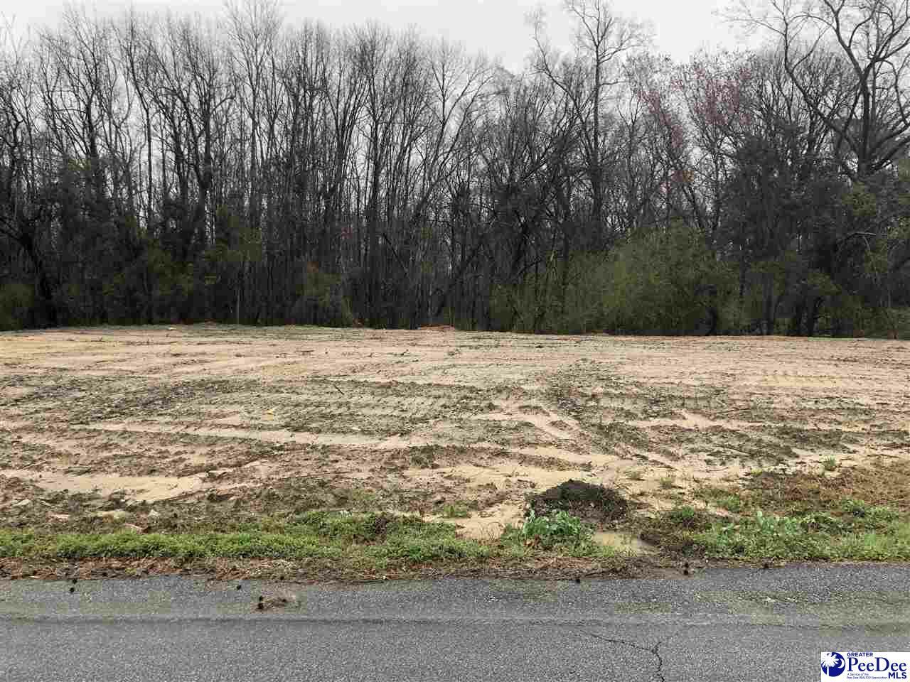 Property Photo:  Lot 14 Marion Ave  SC 29505 