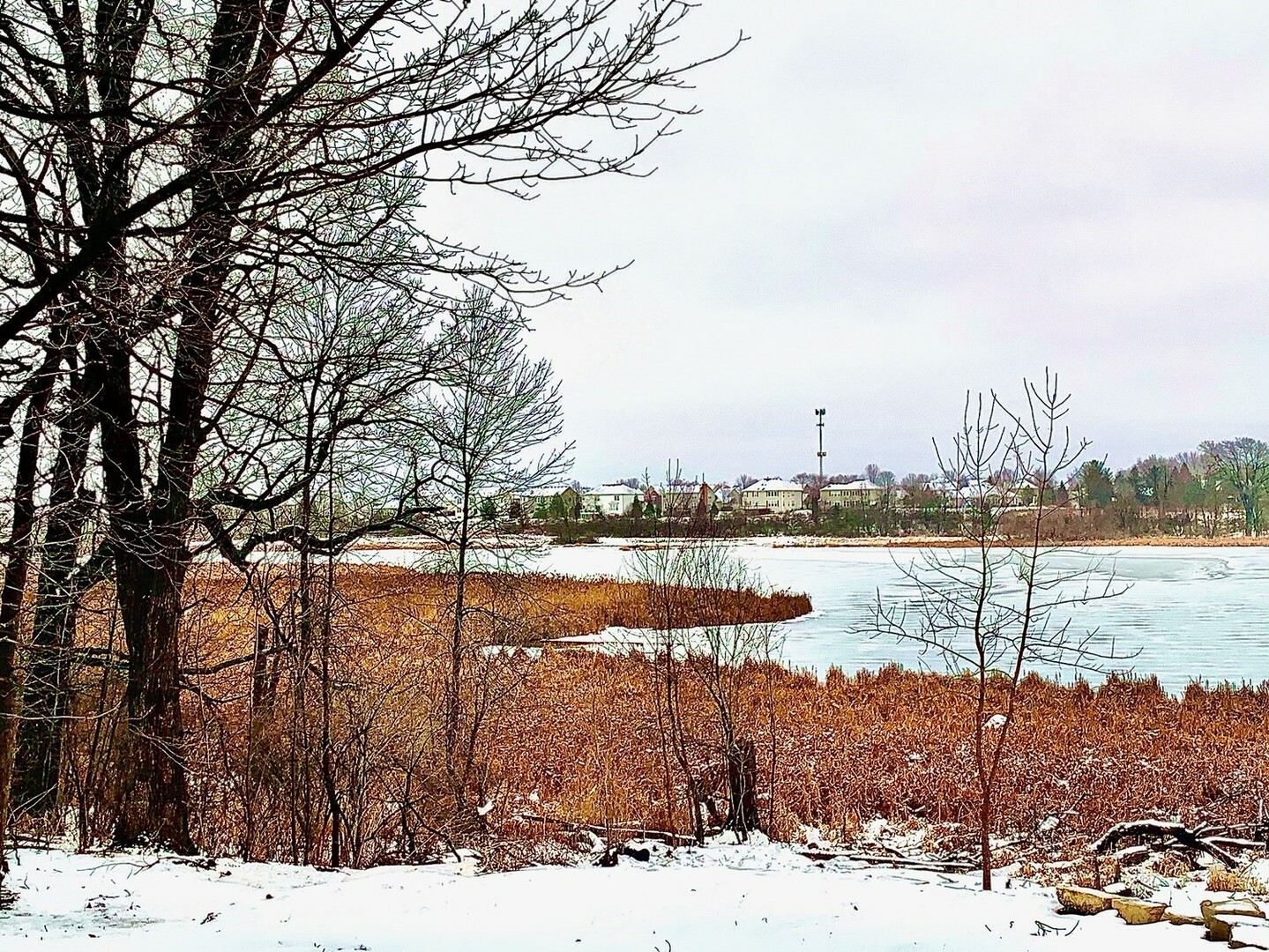 Property Photo: 822 Hoyden Court IL 60554