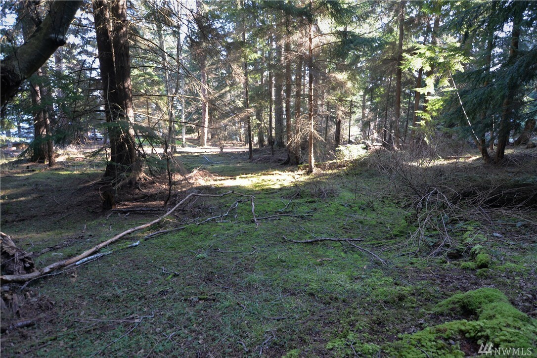 Property Photo:  2516 Raccoon Point Road  WA 98245 