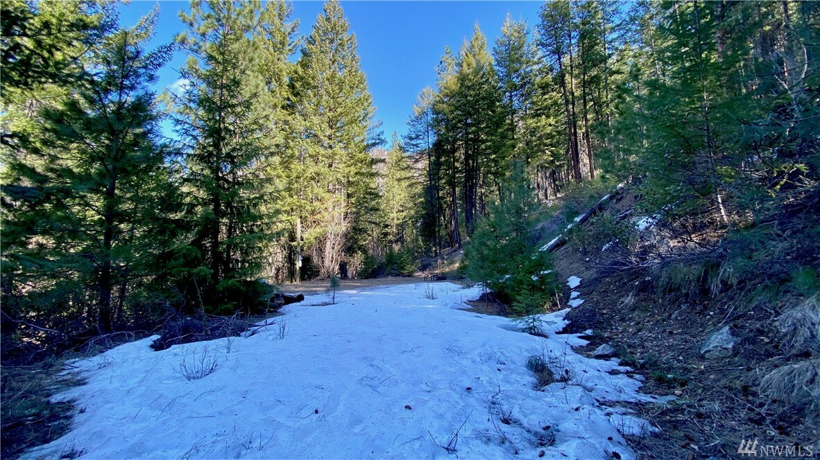 Property Photo:  0 Entiat River Rd  WA 98822 