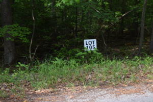 Lot 105 Treasure Tree Rd  Ten Mile TN 37880 photo