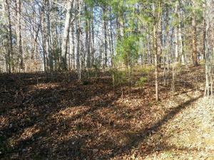 Property Photo:  115 Lakeside Trace  TN 37882 