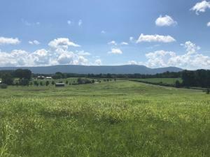 Property Photo:  County Road 788  TN 37331 