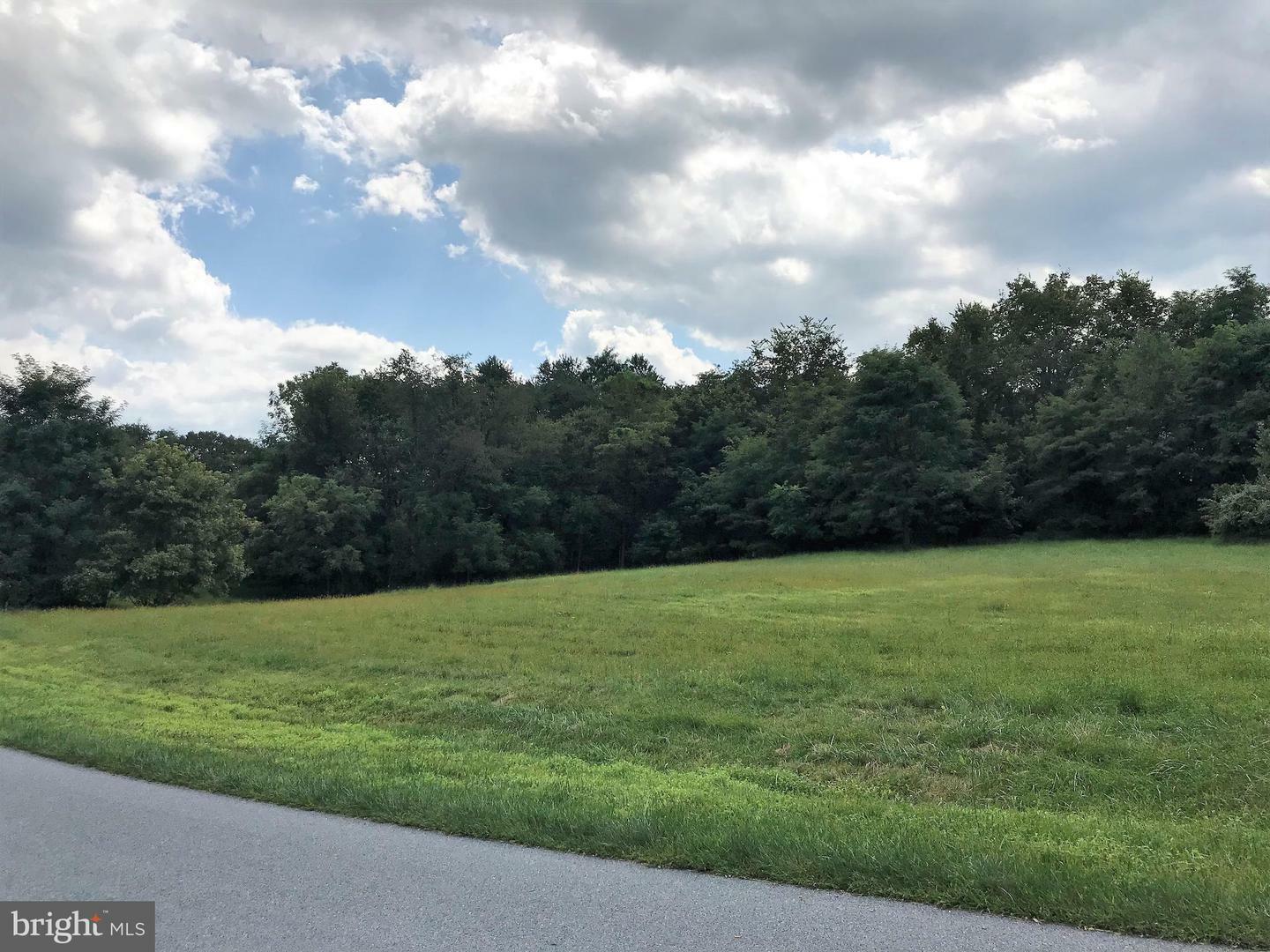 Property Photo: 8320 Prophet Acres Road Lot 17 MD 21733