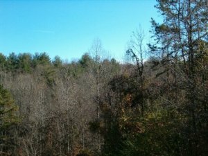 Property Photo:  Rogers Ridge  TN 37763 