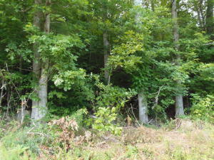 Property Photo:  Scenic River Rd  TN 37354 