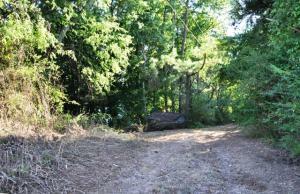 Property Photo:  Tract 3 Walden Lane  TN 37748 