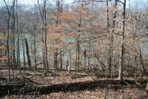 Property Photo:  The Battery, Lot 52  TN 37763 