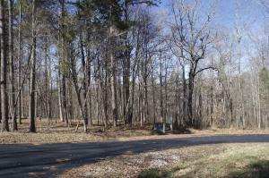 Property Photo:  216 Erick Lane  TN 37774 