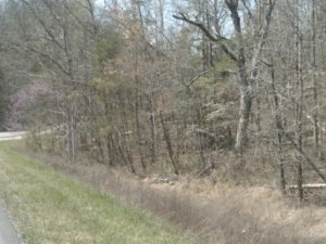 Property Photo:  3.5 Ac Citico Rd  TN 37885 