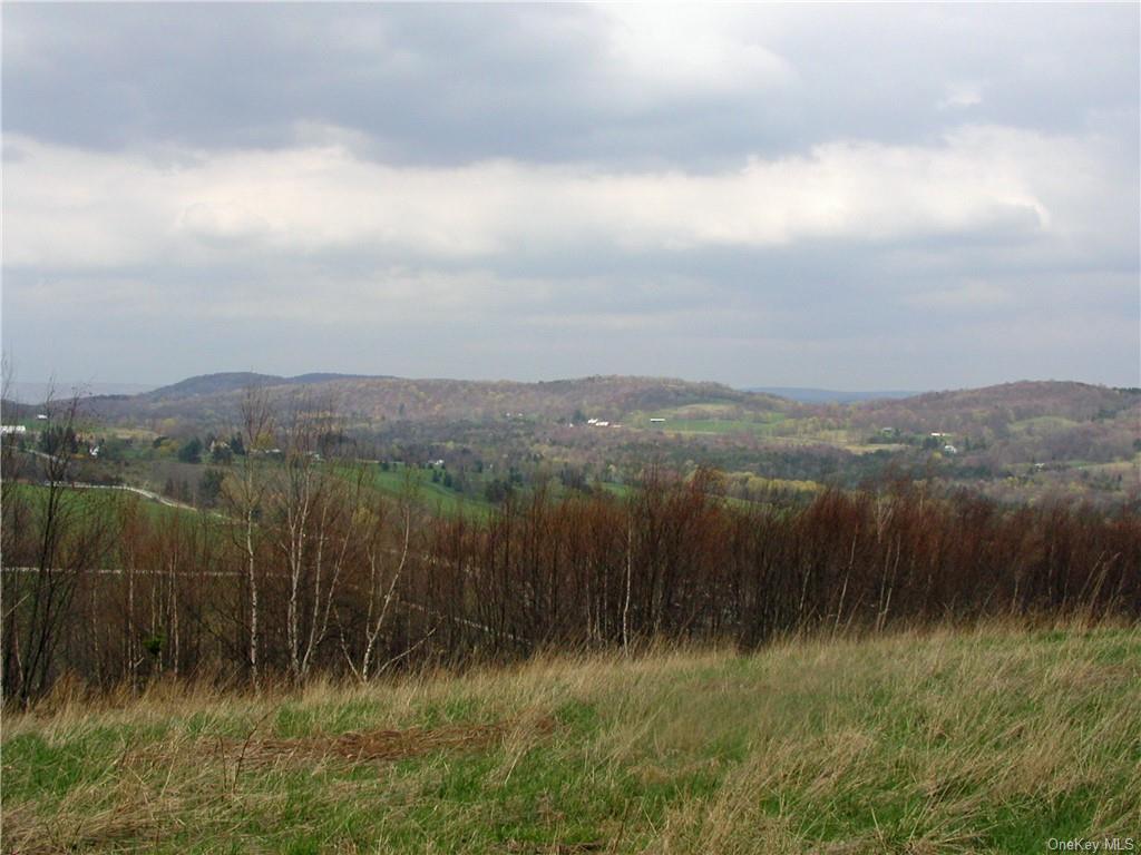 Tbd County Road 164  Callicoon NY 12723 photo