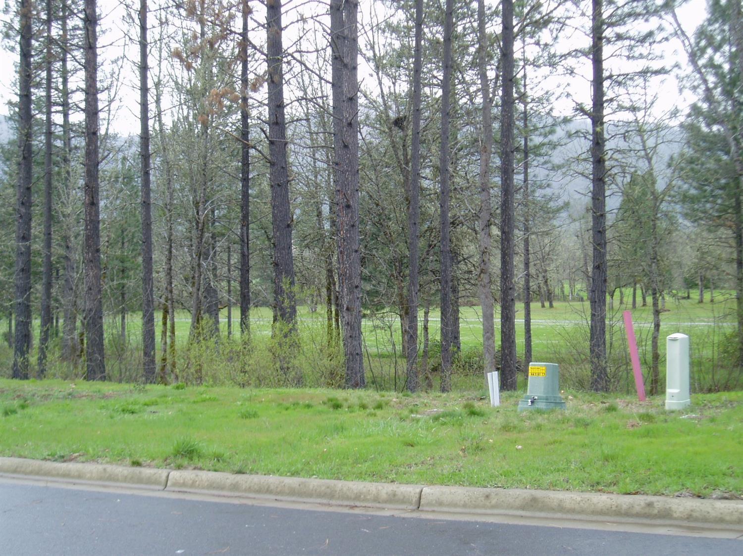 Property Photo: 1302 Golf Club Drive OR 97523