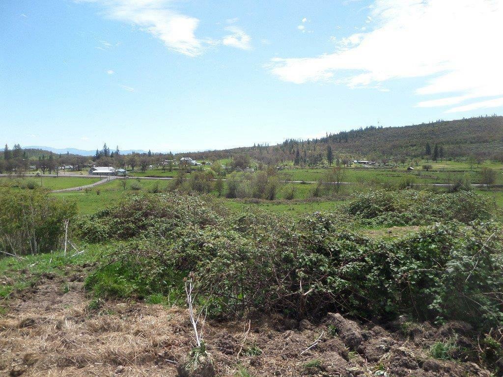 Property Photo:  0 Butte Falls Highway  OR 97524 
