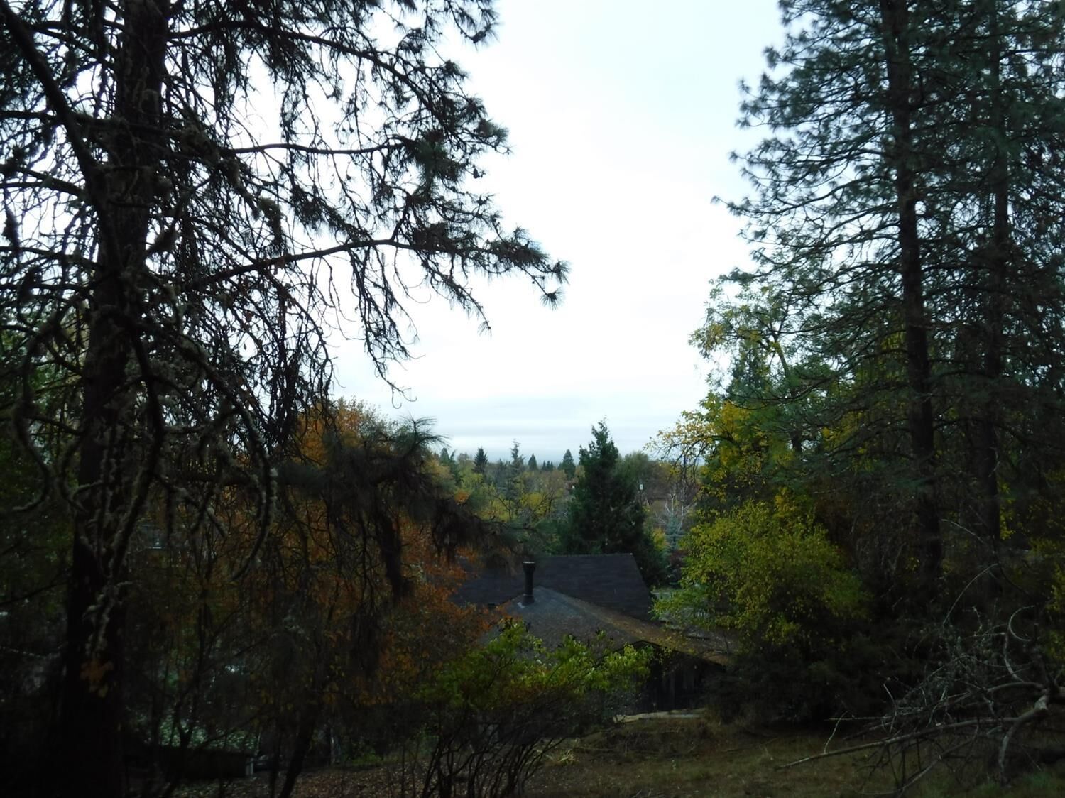 Property Photo: 501 Laurelwood Drive OR 97530