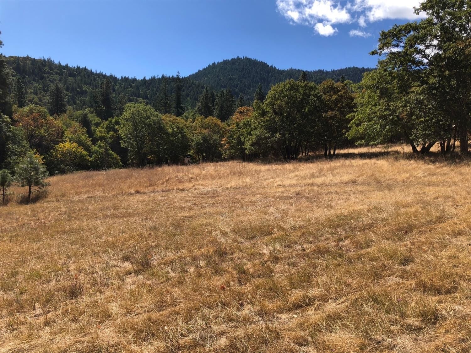 Property Photo: 0 Windemar Drive OR 97520