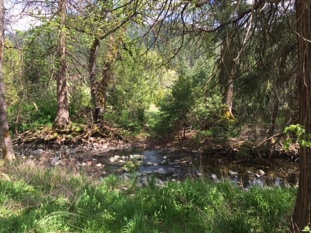 Property Photo: 0 Thompson Creek Road OR 97530