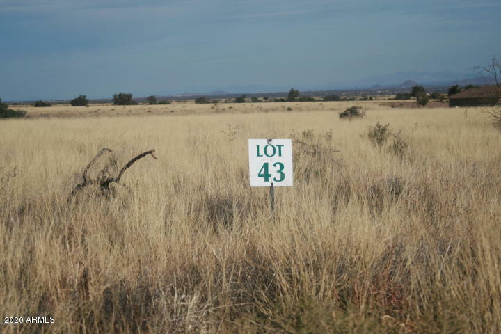 Lot 43 S Hackney Place  Hereford AZ 85615 photo