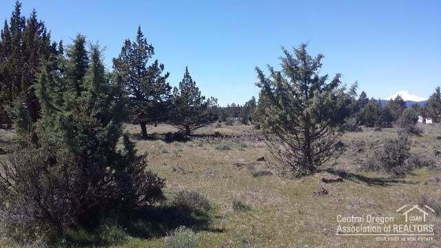 Property Photo:  13950 SW Airstrip  OR 97734 