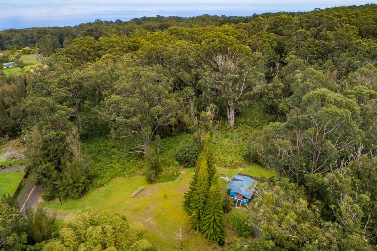 Property Photo:  46-3971 Old Mamalahoa Hwy  HI 96727 