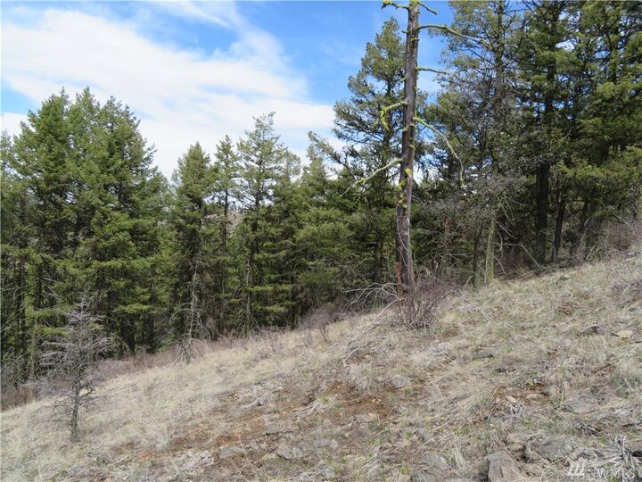 Property Photo:  36,37,38 Union Ridge Rd  WA 99166 