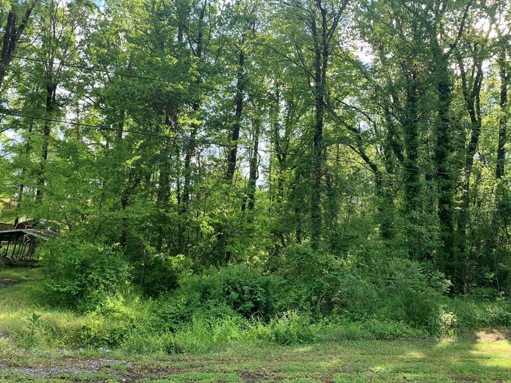 Property Photo:  Lot Willow Oak Drive  VA 23927 