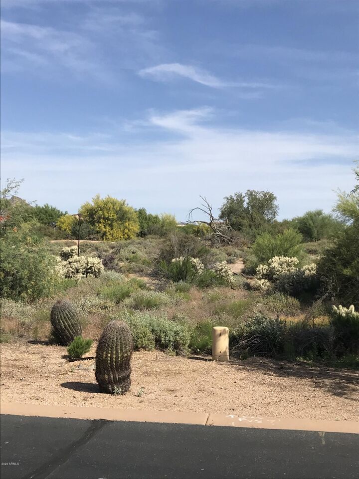 Property Photo:  8342 E Equinox Circle 172  AZ 85266 