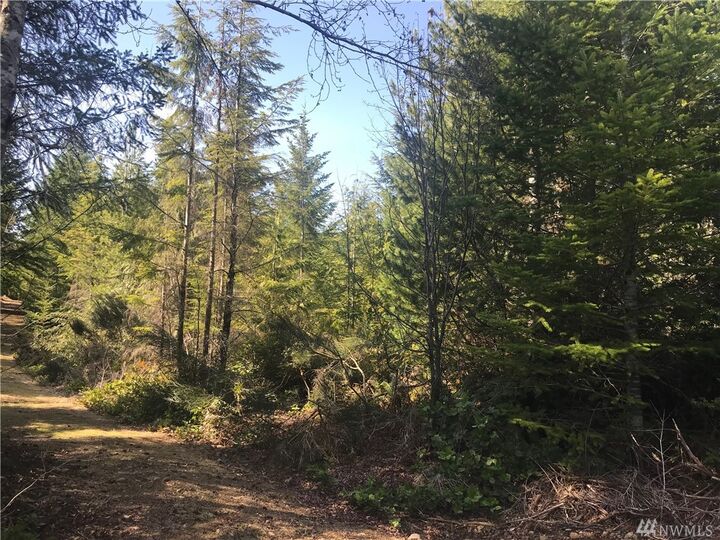 Property Photo:  835 N Hamma Ridge Dr  WA 98555 