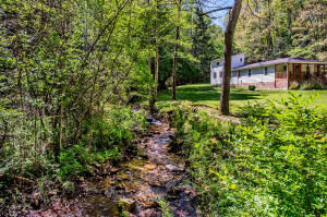 Property Photo:  160 Fire Tower Rd  TN 37748 