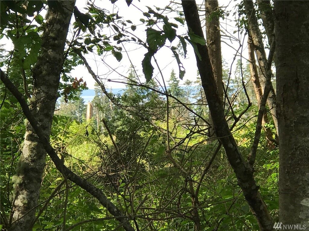 Property Photo:  0 Admirals Dr  WA 98239 