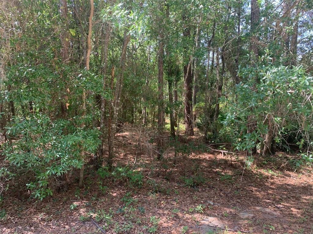 Property Photo: 0 SW 48th Lane Road FL 34481