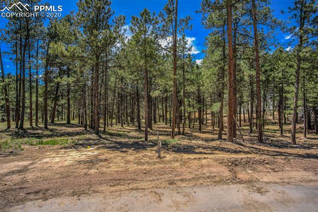 Property Photo:  15450 Billings Court  CO 80908 