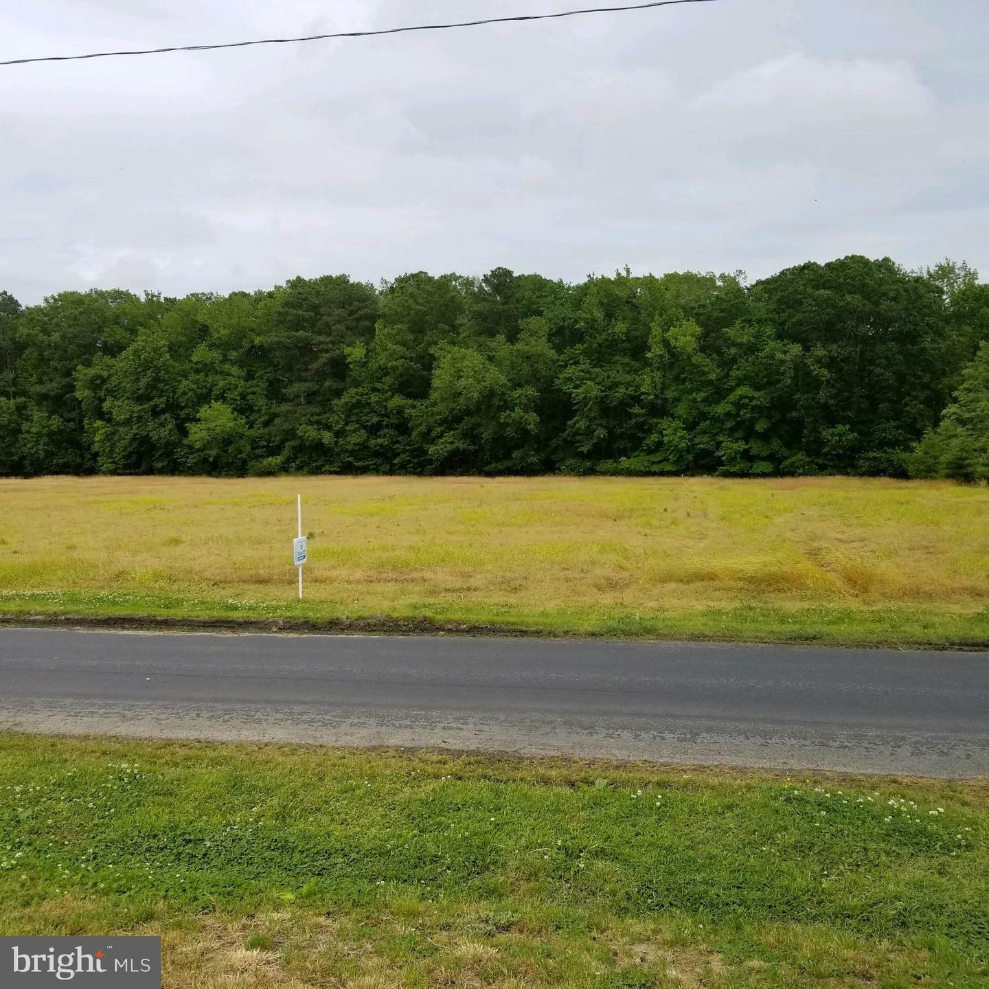 Property Photo:  Lot 3 Hayward Road  MD 21851 