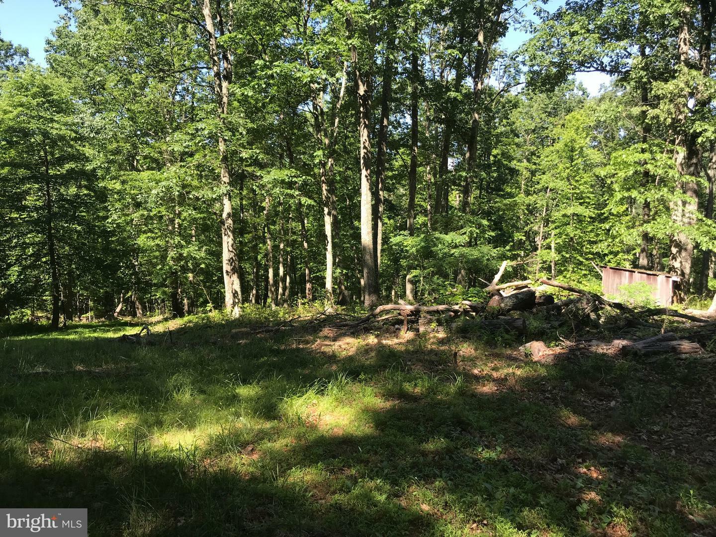 Property Photo:  Brooklyn Way Lot 14  WV 25422 