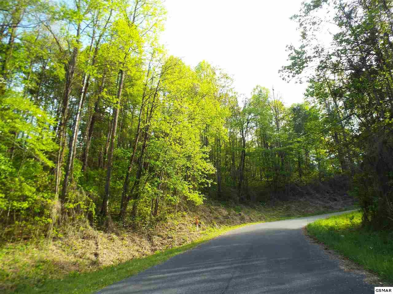 Property Photo:  Lot 4 Schisandra Lane  TN 37722 