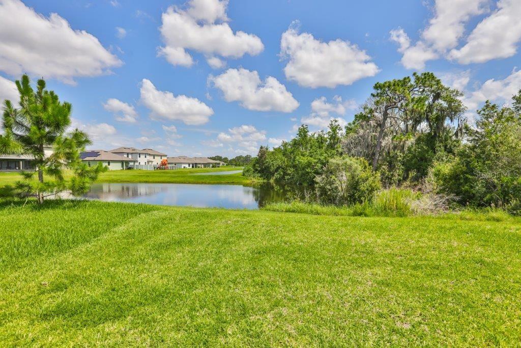 Property Photo:  11856 Thicket Wood Drive  FL 33579 