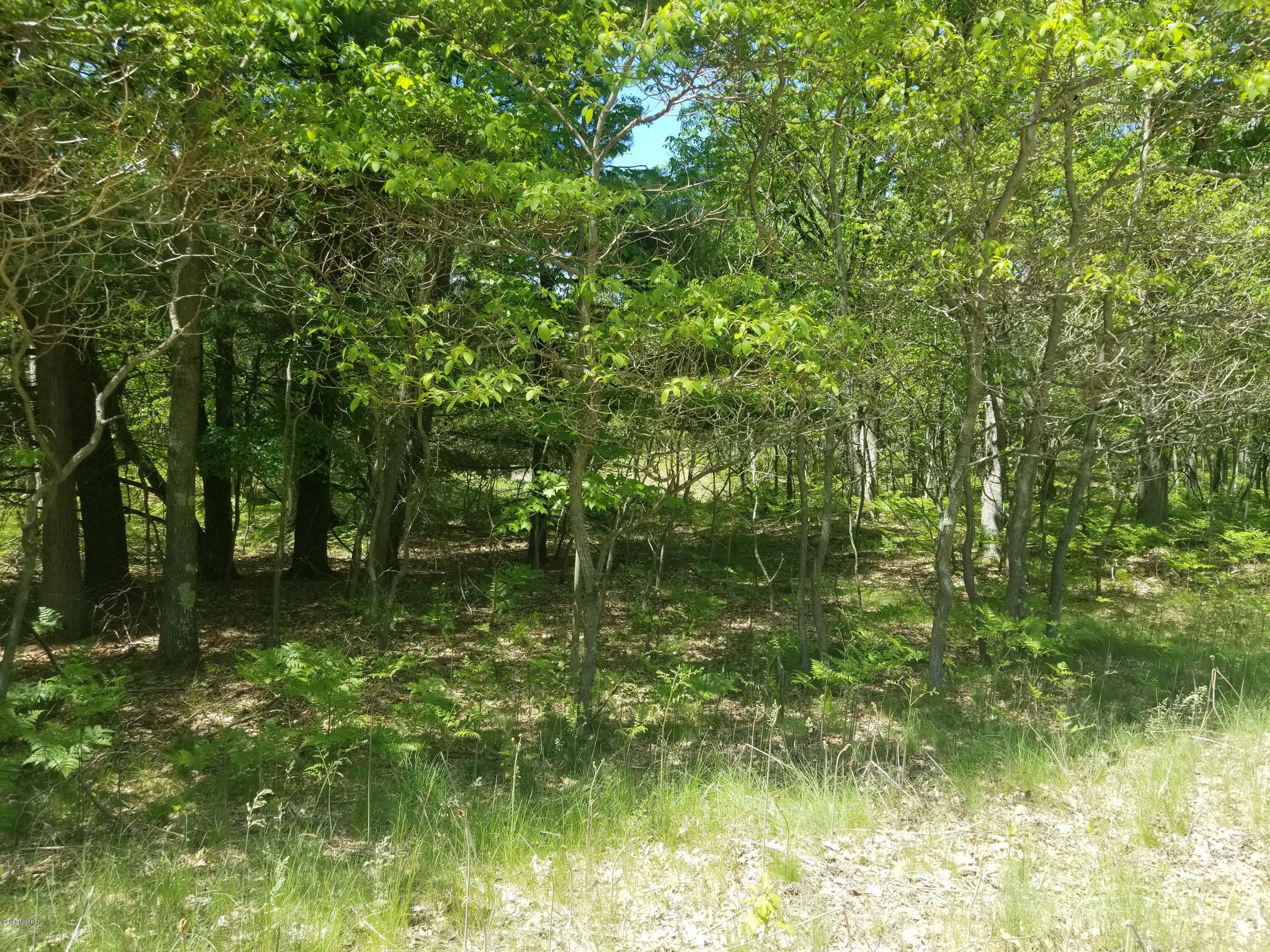 Property Photo:  Vl Lot 6 Bryant Avenue  MI 49449 