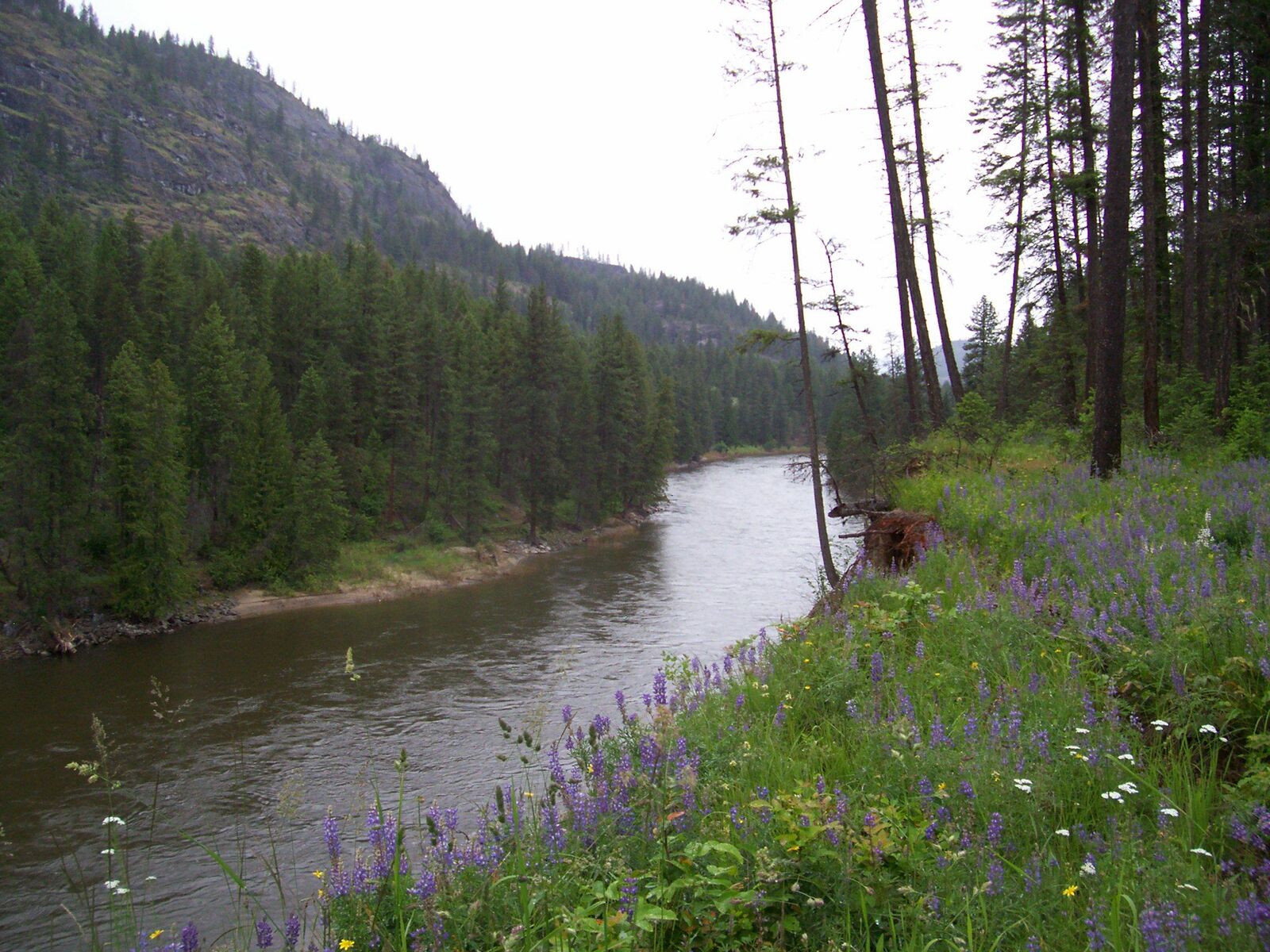 Property Photo:  Xxx Sand Creek Road  WA 99141 