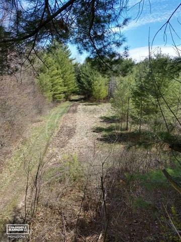 Property Photo: Kilburn Rd Vl MI 48032