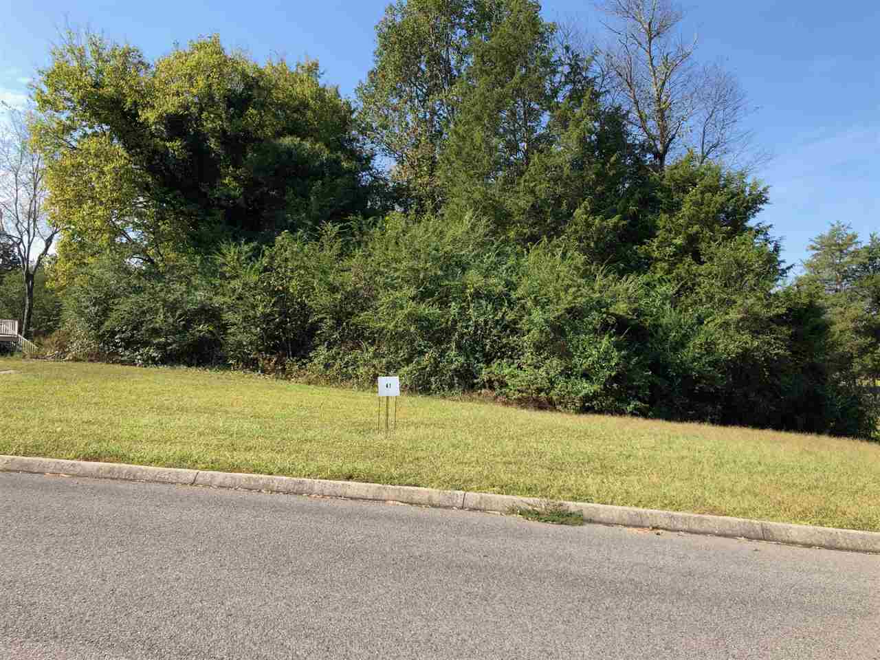 Property Photo:  Lot 41 County Road 7030  TN 37303 