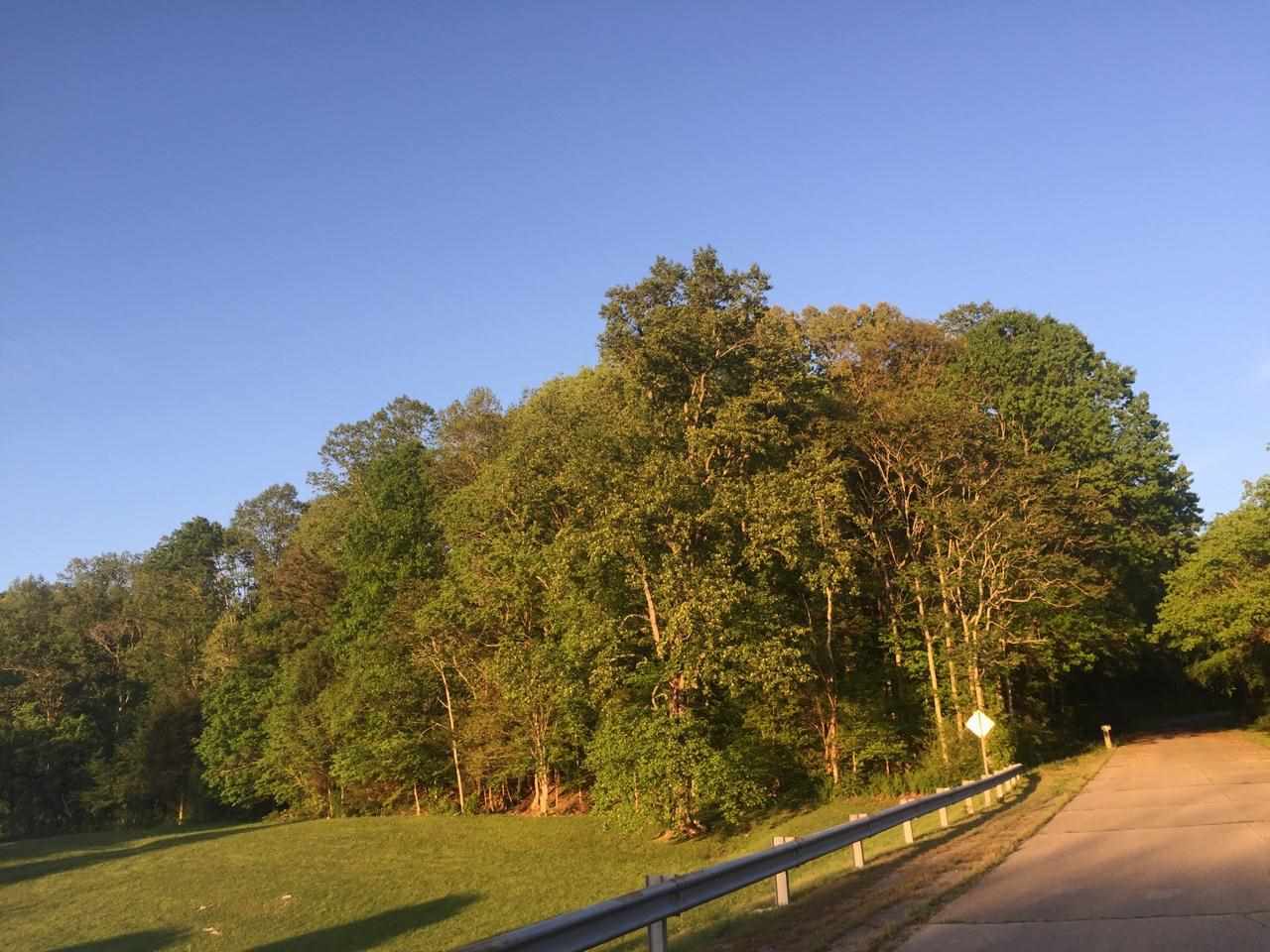 County Road 100  Riceville TN 37370 photo