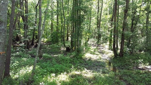Property Photo:  0 Victory Dashboard Road 37 Acres  GA 30108 