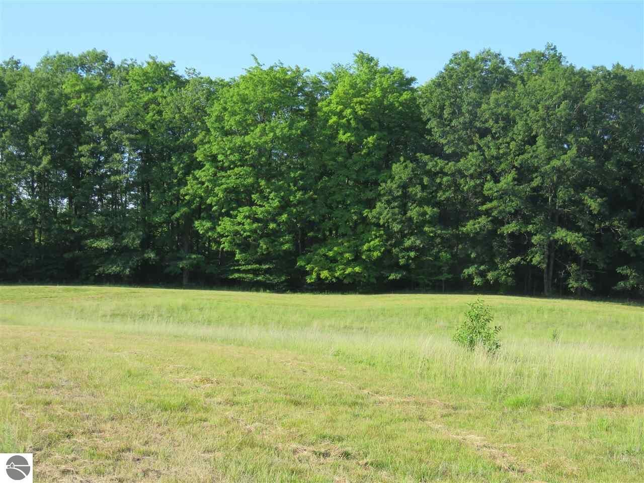 Property Photo:  0 26 Road  MI 49601 