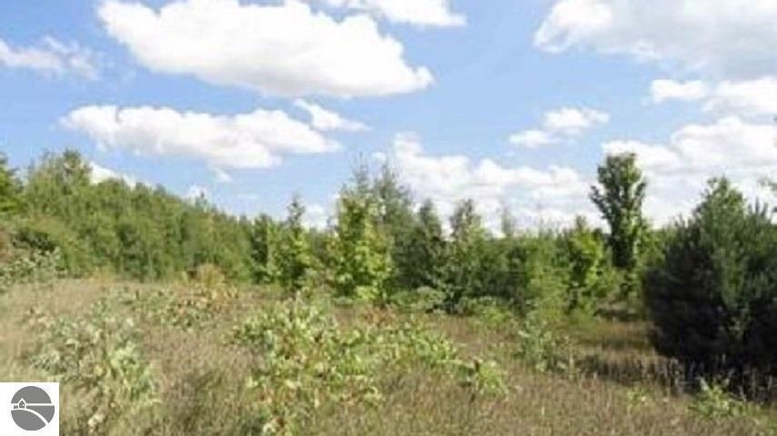 SE Gray Road  Fife Lake MI 49633 photo